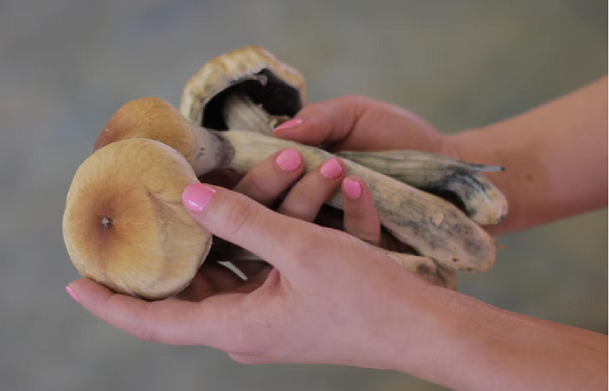 Sensory Experiences During A Magic Mushroom Retreat