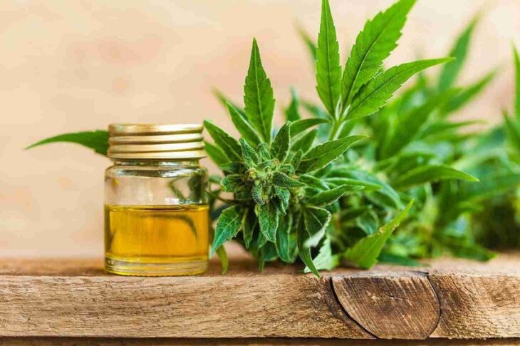 buy thc oil online.