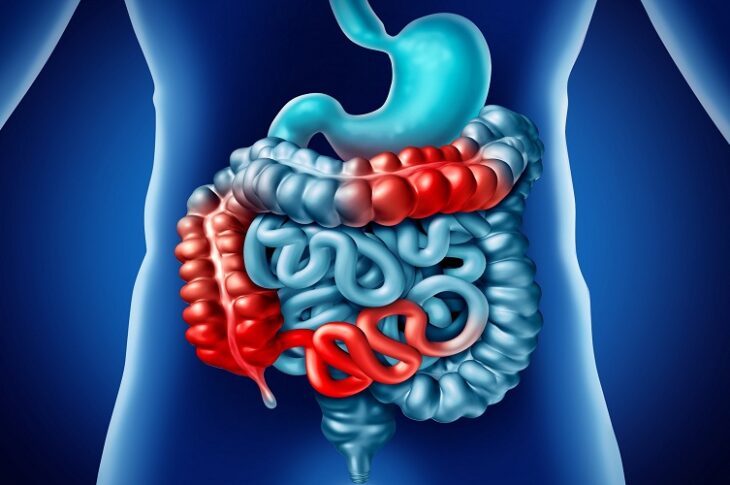 Gastroenterology