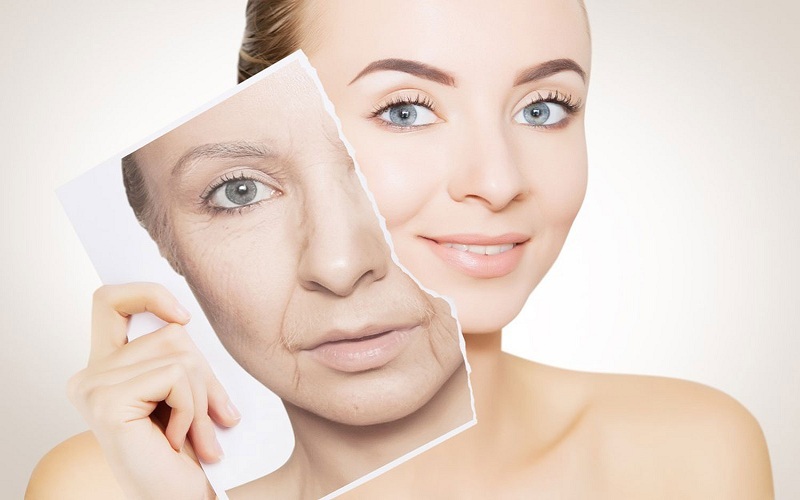 Approaches to Anti-Aging